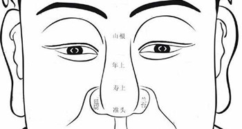 俗话说"问富在鼻",可见鼻子在相学中所占的份量有多大.